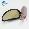 Fuente de fábrica Materia Prima Bacillus Subtilis para Animal Additive